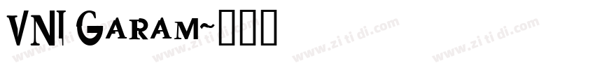 VNI Garam字体转换